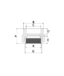 Conector Fêmea/Fêmea 25mm1/2” PPR Amanco