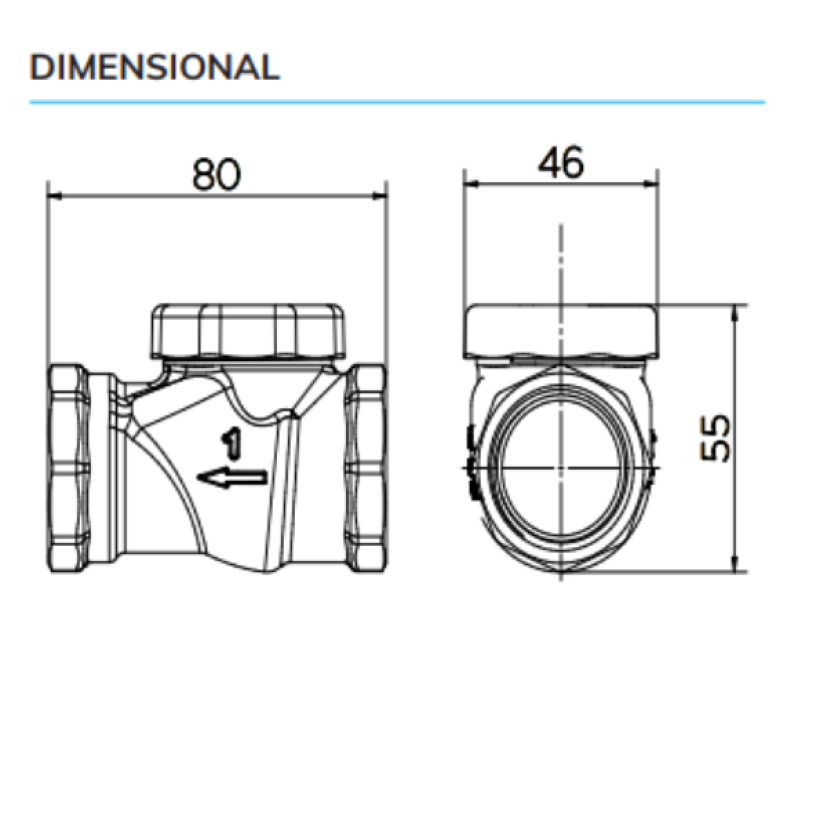 Válvula de retenção horizontal 1" 30201000