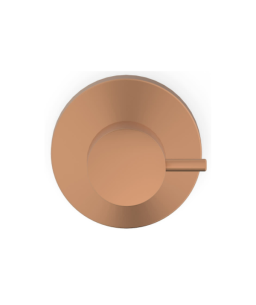 Acabamento De Registro Base Reforma 1.1/4 E 1.1/2 Basic Rose Gold Matte B5040C7R2B