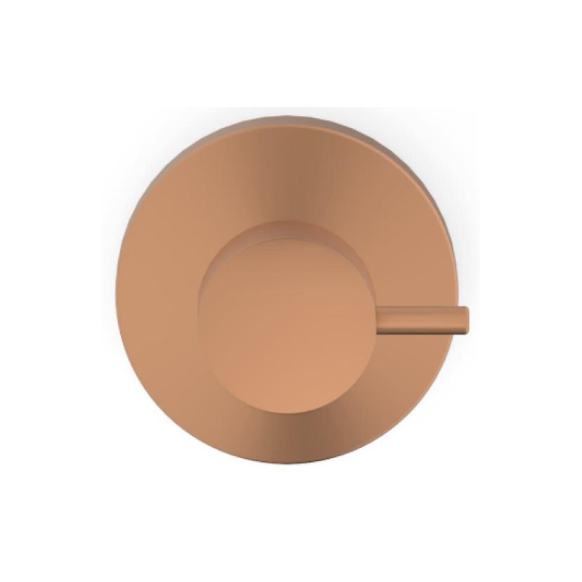 Acabamento De Registro Base Reforma 1.1/4 E 1.1/2 Basic Rose Gold Matte B5040C7R2B