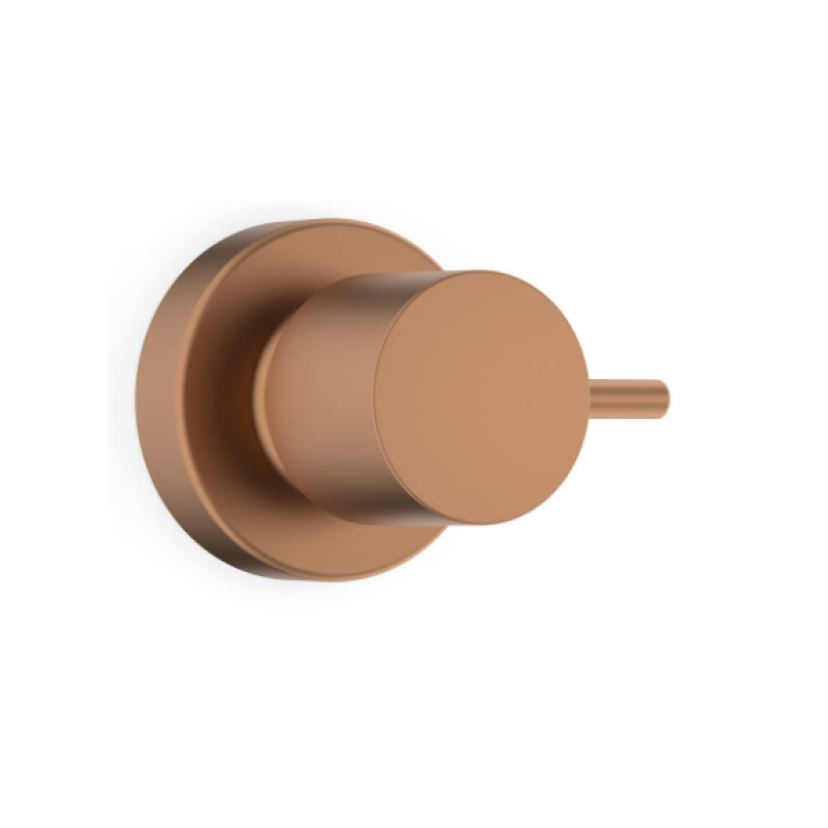 Acabamento De Registro Base Reforma 1/2, 3/4, 1 Basic Rose Gold Matte B5041C7R2B