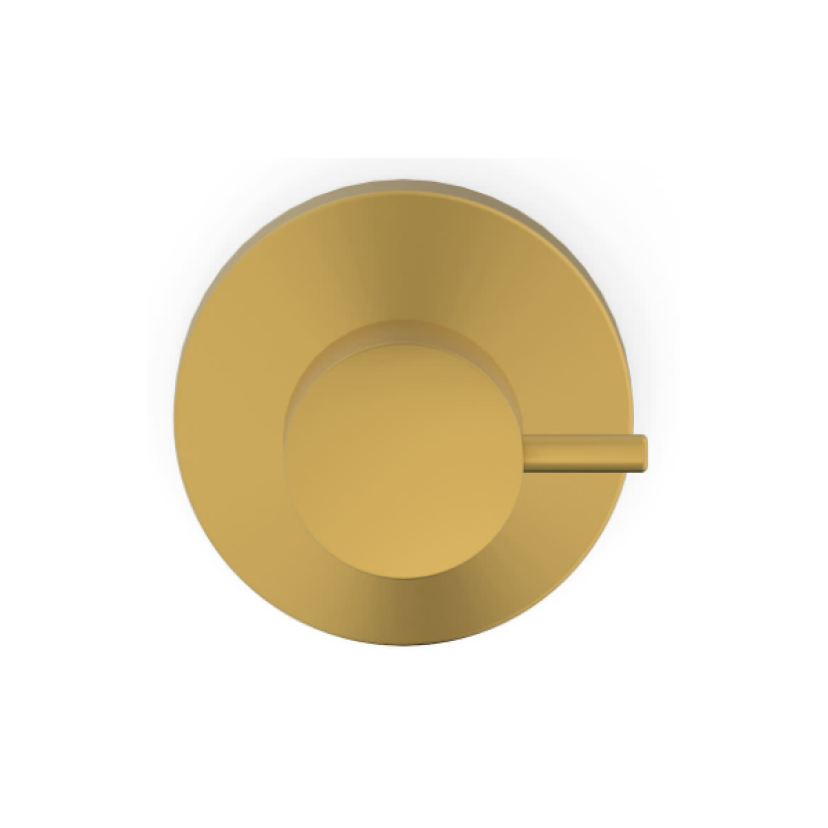 Acabamento De Registro Base Reforma 1.1/4 E 1.1/2 Basic Gold Matte B5050C7R1B