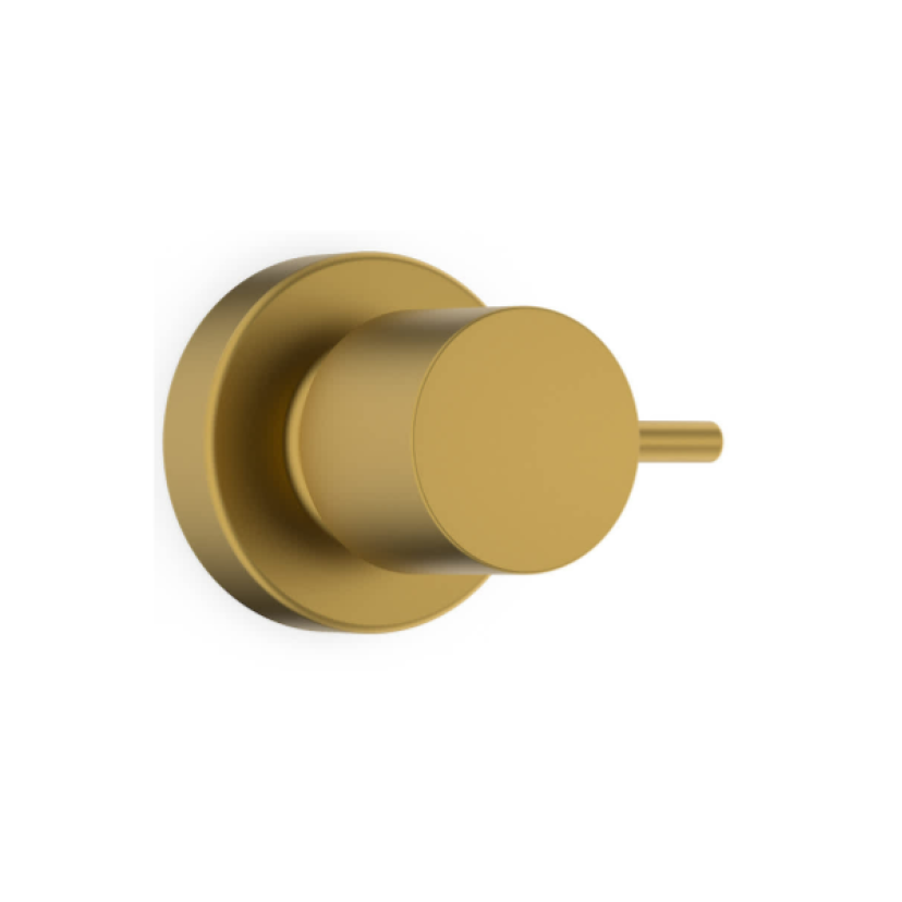 Acabamento De Registro Base Reforma 1/2, 3/4, 1 Basic Gold Matte B5051C7R1B