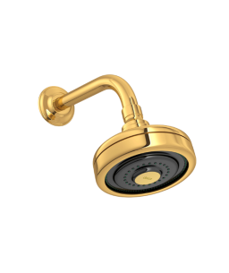 Chuveiro da Deca Acqua Plus Gold com Tubo Standard 1990.GL.STD