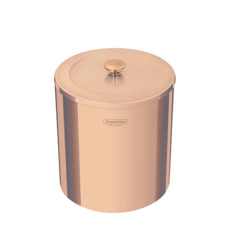 Lixeira Rose Inox 5L com Tampa  94540/053