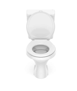 Kit De Bacia Com Caixa Acoplada E Itens De Instalação Zip 1467230010100