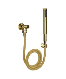 Ducha Manual com Desviador para Chuveiro de Parede C30 Ouro Polido 00934243