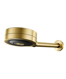 Chuveiro Novo Technoshower ouro escovado 01204872