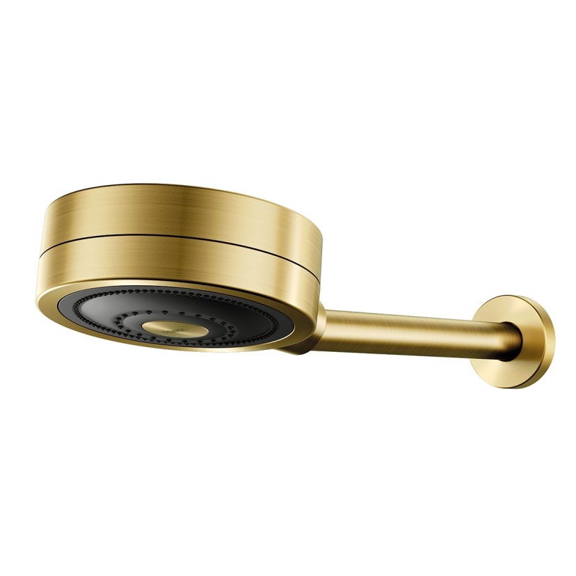 Chuveiro Novo Technoshower ouro escovado 01204872 Chuveiro Novo Technoshower ouro escovado 01204872