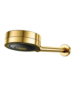 Chuveiro Novo Technoshower ouro polido 01204843