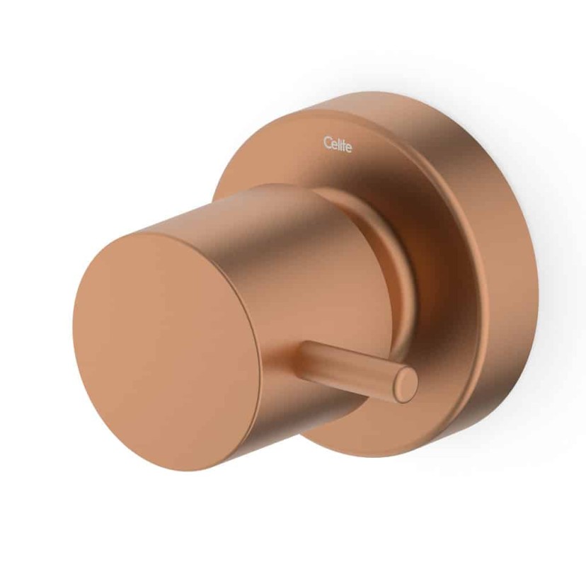 Acabamento De Registro Base Reforma 1/2, 3/4, 1 Basic Rose Gold Matte B5041C7R2B
