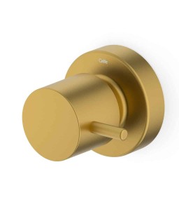 Acabamento De Registro Base Reforma 1/2, 3/4, 1 Basic Gold Matte B5051C7R1B