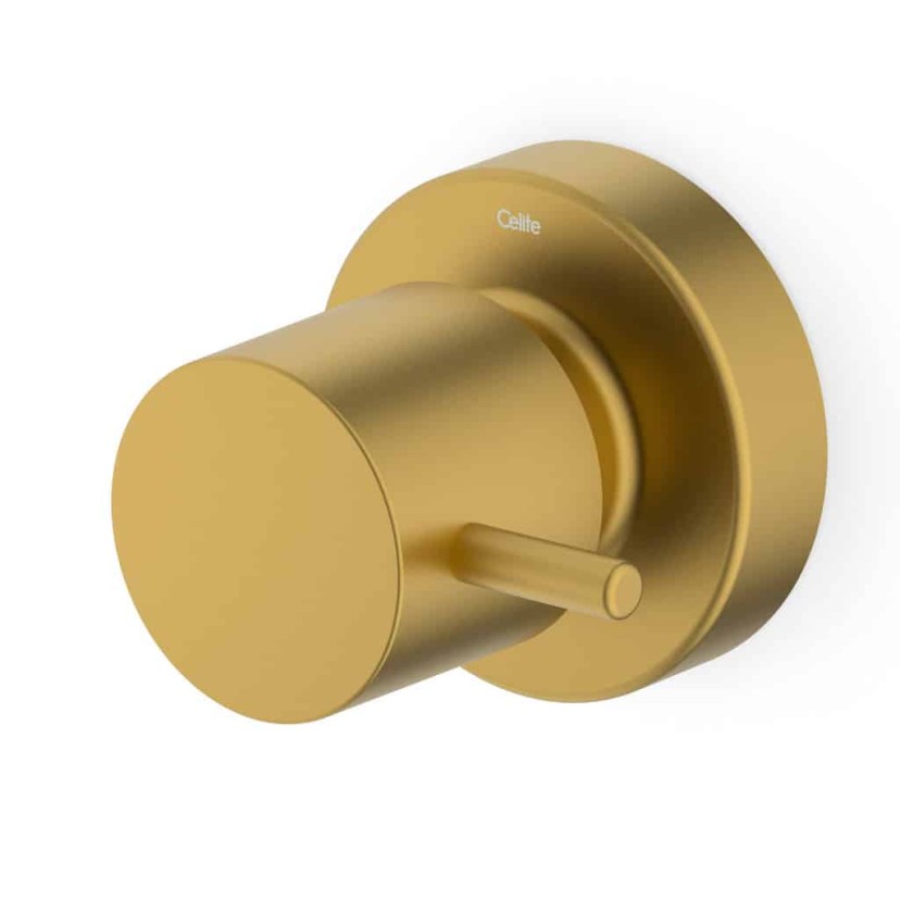 Acabamento De Registro Base Reforma 1/2, 3/4, 1 Basic Gold Matte B5051C7R1B