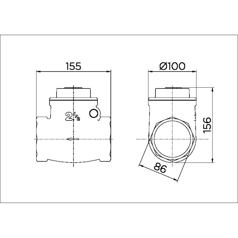 Válvula de retenção horizontal 2.1/2" 30202500